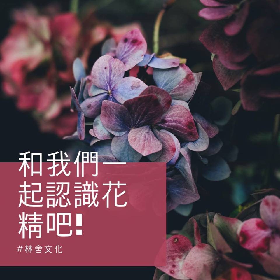 和我們一起認識花精吧！