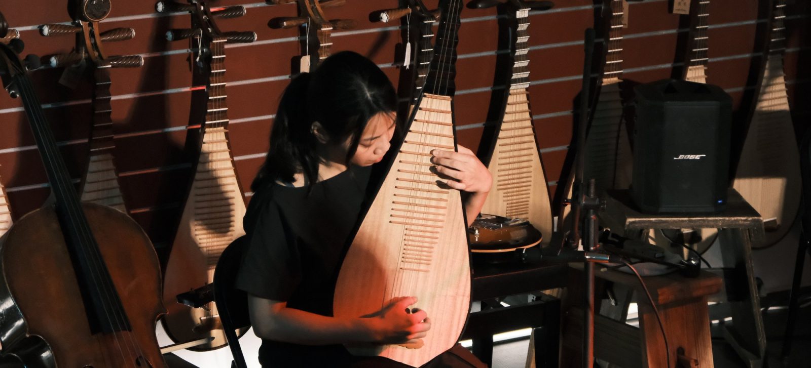 Pipa Lessons in Taipei
