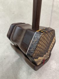 【林舍文化｜兒童古夷蘇木二胡】