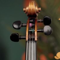 Violino - Germany Pirastro Violin Strings