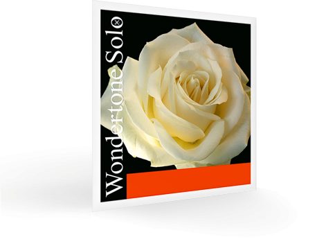 WonderTone (Solo) - German Pirastro Violin Strings 4/4 Set, Aluminium A String