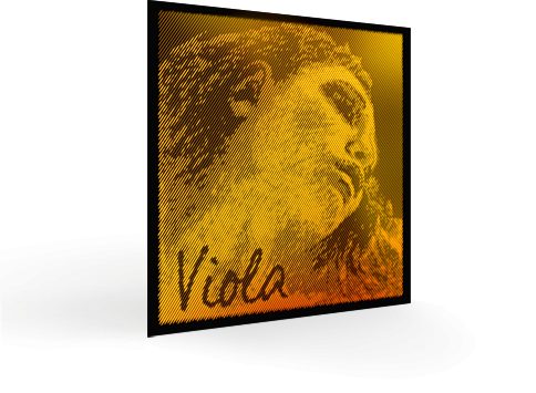 Evah Gold - Germany Pirastro Viola Strings