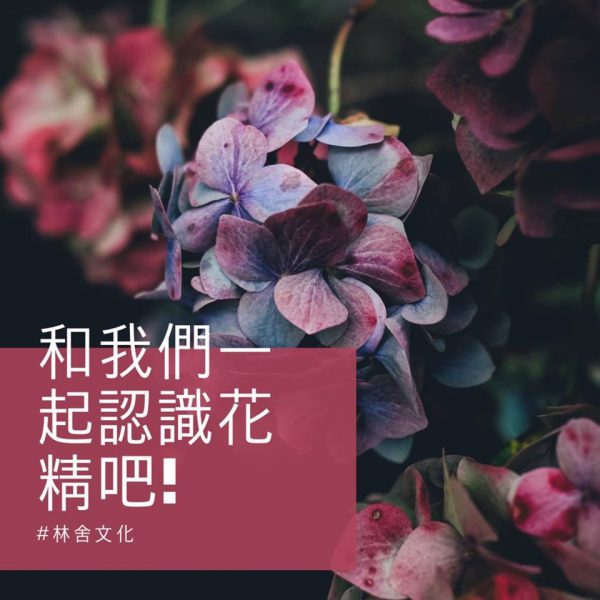 和我們一起認識花精吧！