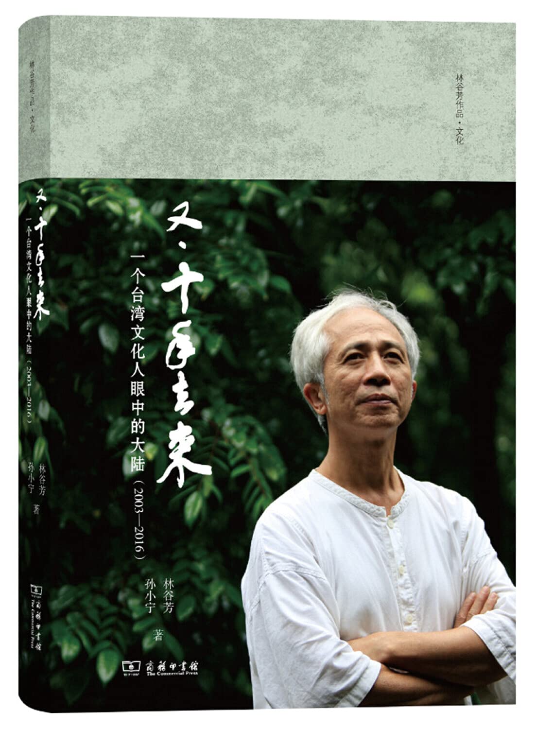 《又·十年去來：一個台灣文化人眼中的大陸》(2003-2016)