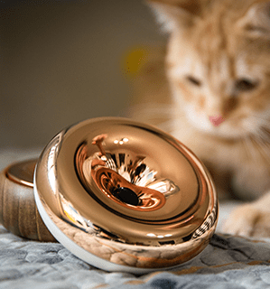 提丰 TYPHON｜迷你號角 大提琴止滑墊